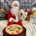 christmas-dog-photo