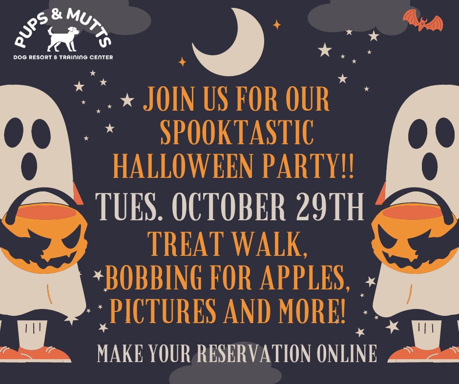 Spooktastic Halloween Party!